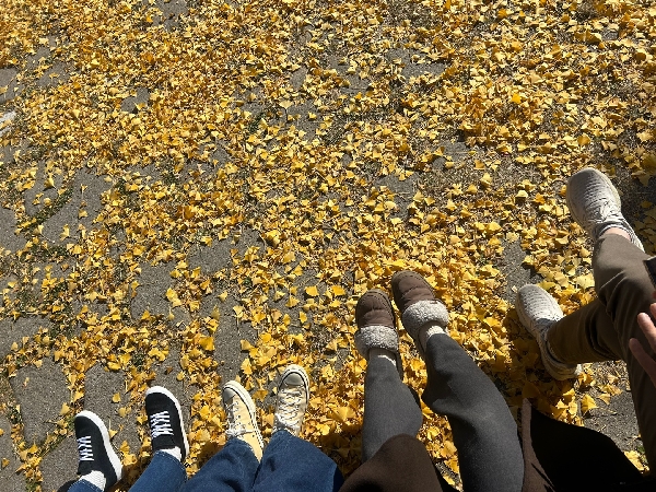 교수님 생일파티 대표이미지